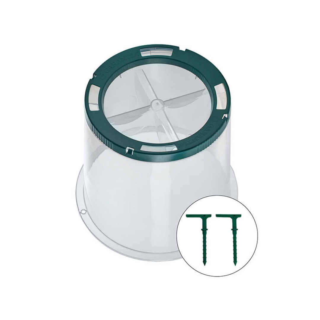 Garantia Sunny Forcing Cloche