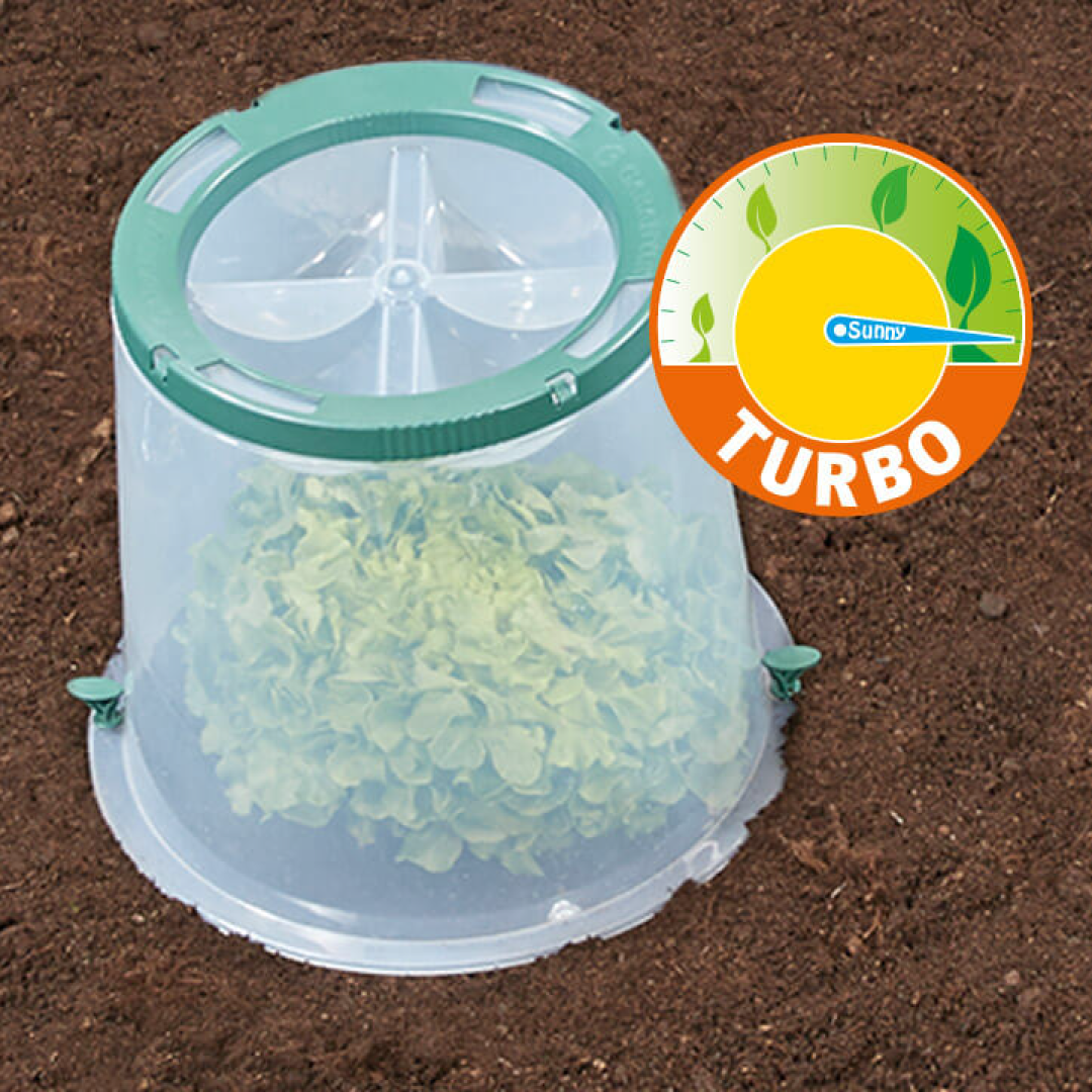 Garantia Sunny Forcing Cloche